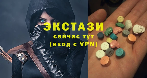 ECSTASY Богородицк