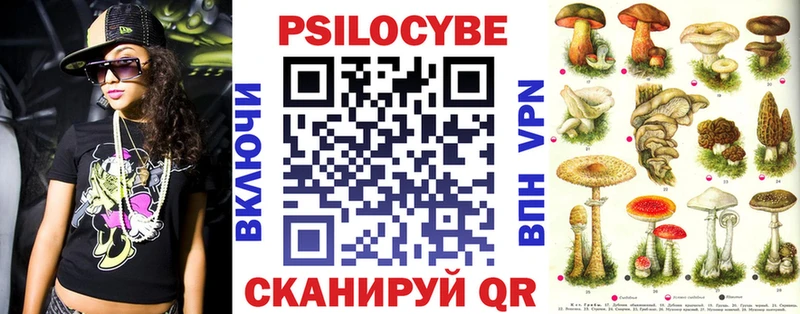 как найти закладки  Мглин  Псилоцибиновые грибы Magic Shrooms 
